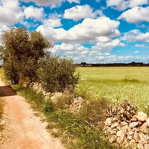Arthouse Mit Haus Galeria 110qm Und Appartementhaus Mit Patio 30qm Hébergement de vacances Campos (Mallorca)
